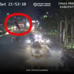 Google Maps-Fehler und BMW fliegt von Brücke Schockierendes Video wird viral