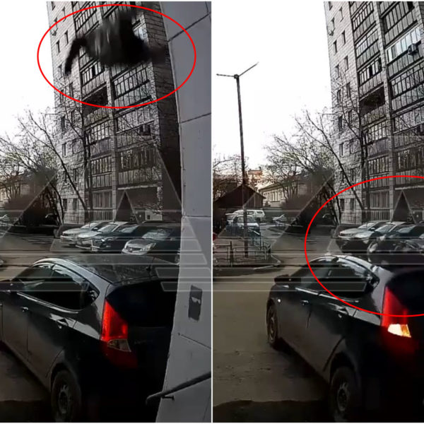 Rusia, abuela se cae del balcón y se levanta de nuevo:…