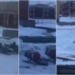 Dispara a un oso polar, falla, el animal lo persigue, el video se vuelve viral