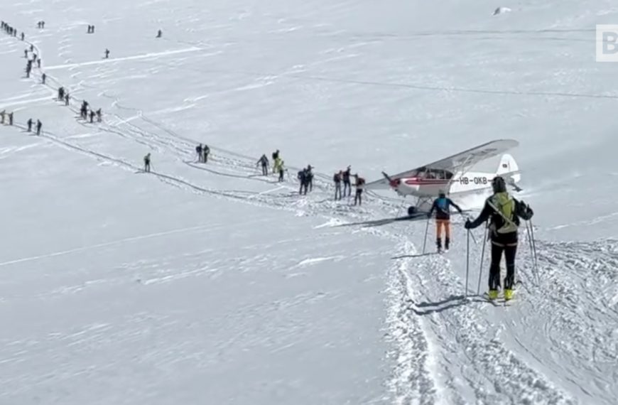 Folie sur le Mont Rose : un platane frôle un groupe de…