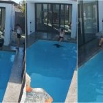Perro no sabe nadar y termina en la piscina: el rescate de su dueño es escalofriante