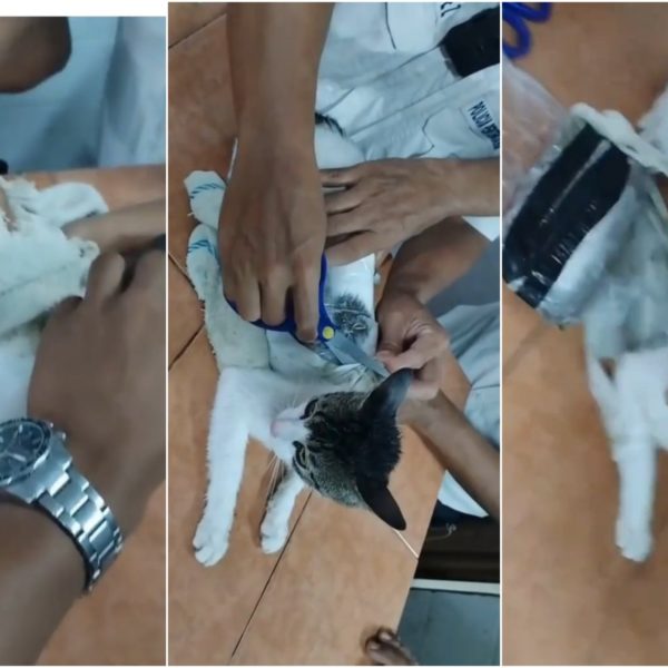 El truco de los presos: drogas unidas a la…