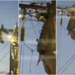 Impactante video: Cadetes cuelgan de un barco tras impacto en Brooklyn; dos no sobreviven