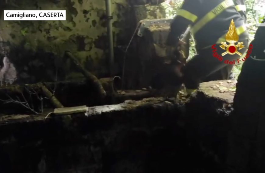 Cagnolino intrappolato in un pozzo, tratto in salvo…