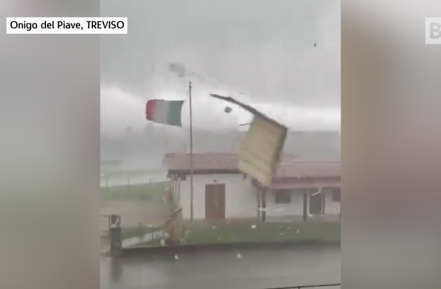 Techos arrancados y árboles arrancados de raíz, el mal tiempo pone…