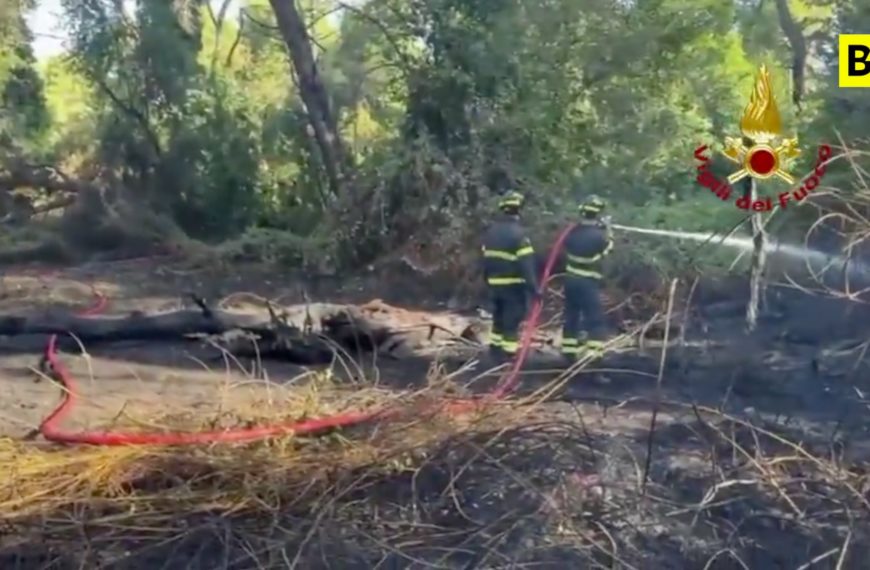 Pescara: Feuer im Dannunziana-Kiefernwald