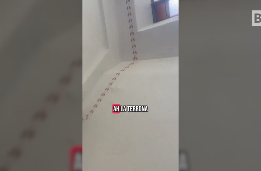 « Va-t'en, sale fille du Sud », se plaint un…