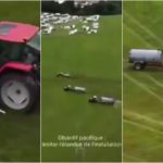 Acampada ilegal de gitanos en sus tierras: el agricultor los ahuyenta cubriéndolos con estiércol.