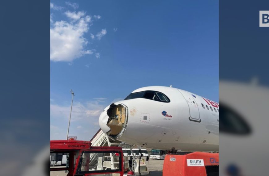 Madrid, Iberia-Flug kollidiert mit einem Vogel: Flugzeugnase…
