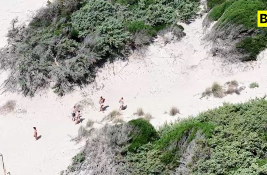 Porto Cesareo, le tourisme sauvage capturé par les caméras...