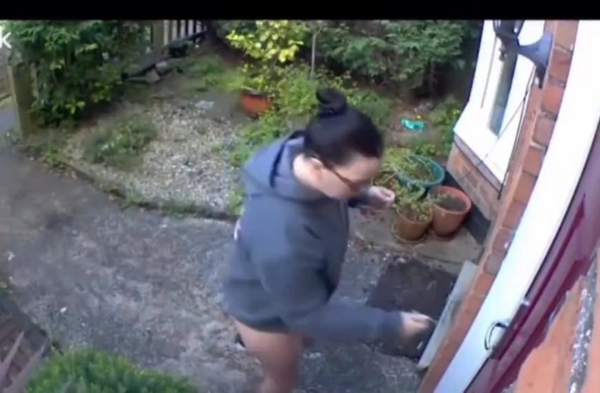 Tania Cagnotto regresa a su primer amor… el…