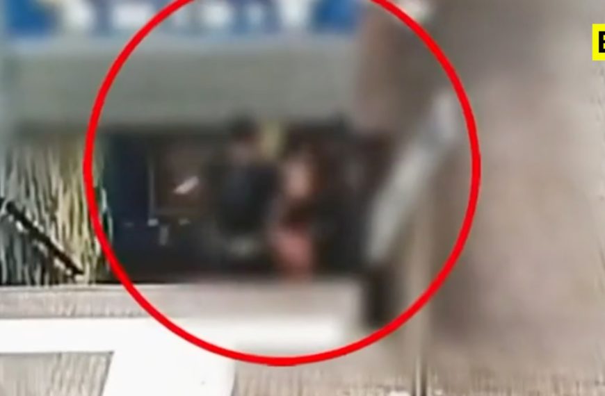 Patadas y puñetazos para robarle su collar: el ataque…