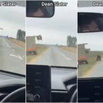 Leone flieht aus einem fahrenden Lastwagen und löst Panik aus: Das Video ist erschreckend.