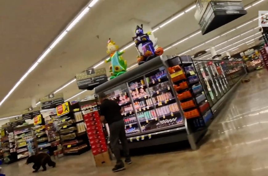 Arizona, un… aparece en los estantes de los supermercados.