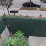 Ein nackter Mann greift einen älteren Mann an und bricht ihm das Bein; der ältere Mann reagiert und tötet ihn.