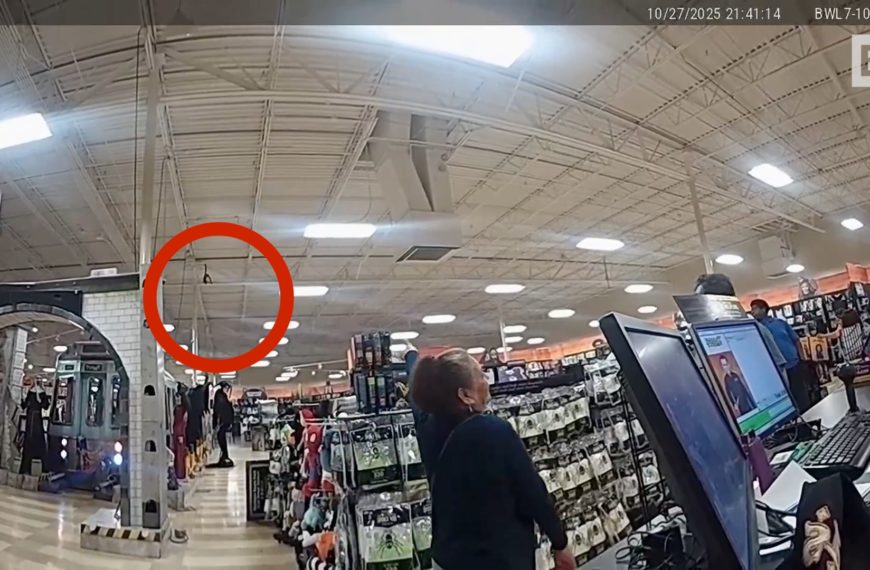 Texas, un mono se escapa a una tienda: la fuga…