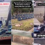 Teste di maiale nel cimitero islamico: vendetta dopo l’attentato di Bondi Beach